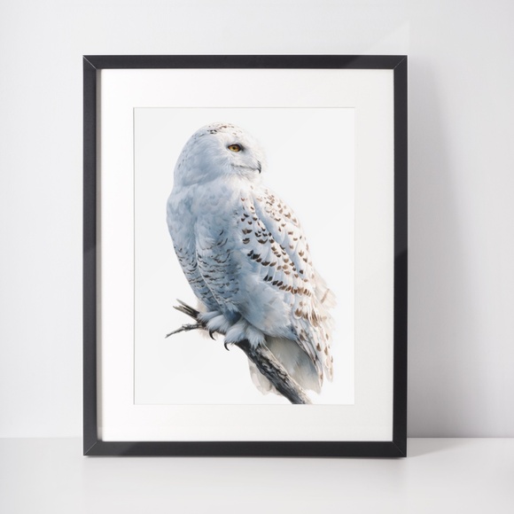 Watercolor Snowy Owl Portrait Wall Art Print, Unframed - Mystic Winter Grace - Picture 3 of 6